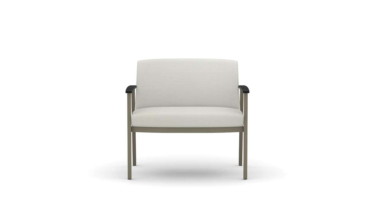 Carolina - Silvr Ion Metal - Bariatric - Product